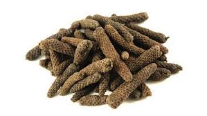 திப்பிலி செடியின் மகத்துவம்